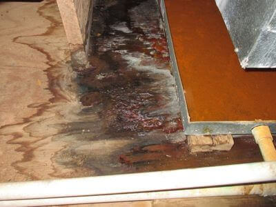 About water damage restoration service - storm damage restoration experts in Cleveland